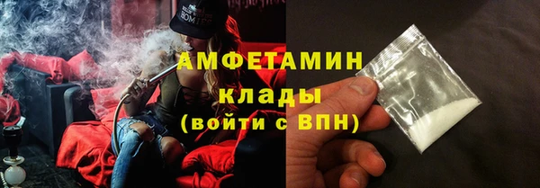 трава Няндома