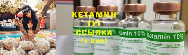 трава Няндома