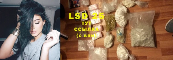 трава Няндома