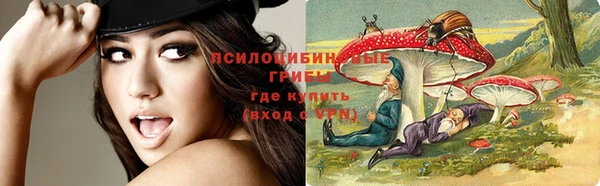 молекула духа Нягань