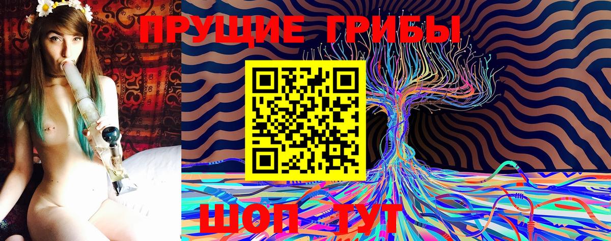 Галлюциногенные грибы GOLDEN TEACHER  Галлюциногенные грибы Psilocybe  Симферополь 