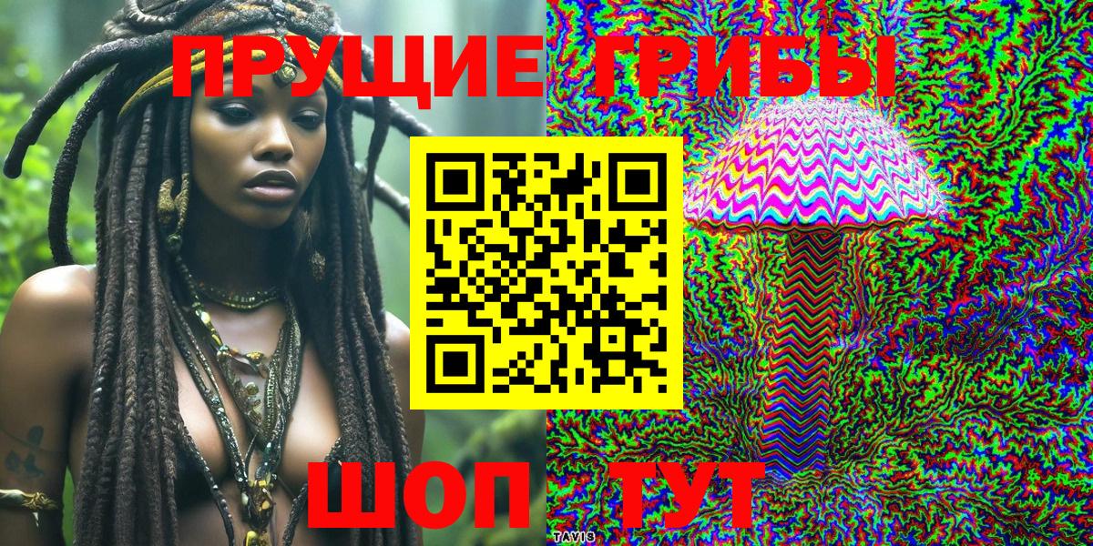 Псилоцибиновые грибы GOLDEN TEACHER Симферополь