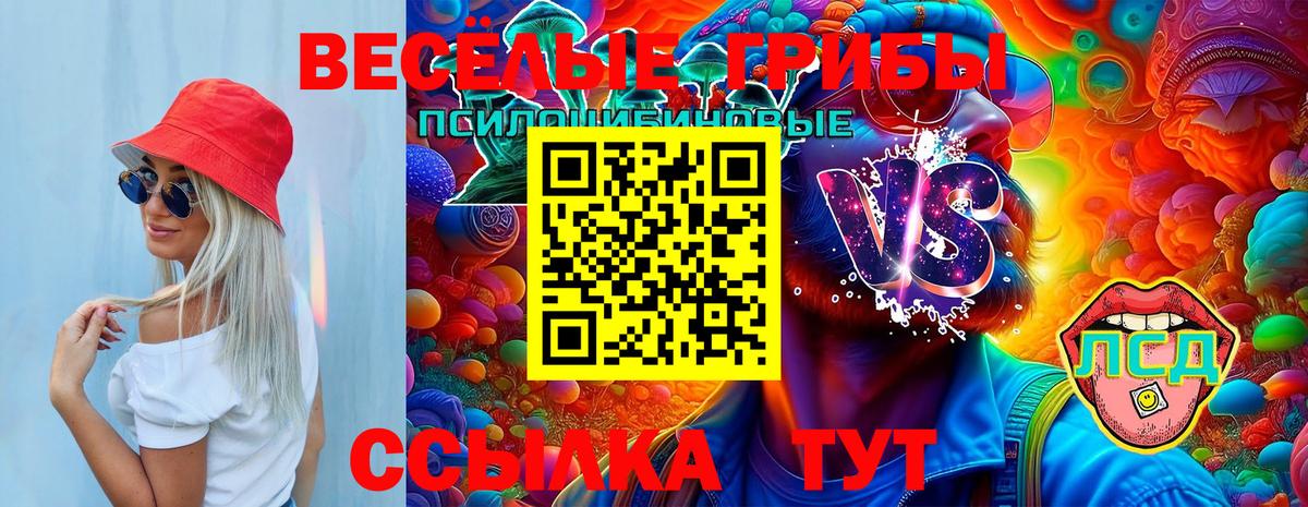Галлюциногенные грибы MAGIC MUSHROOMS Симферополь